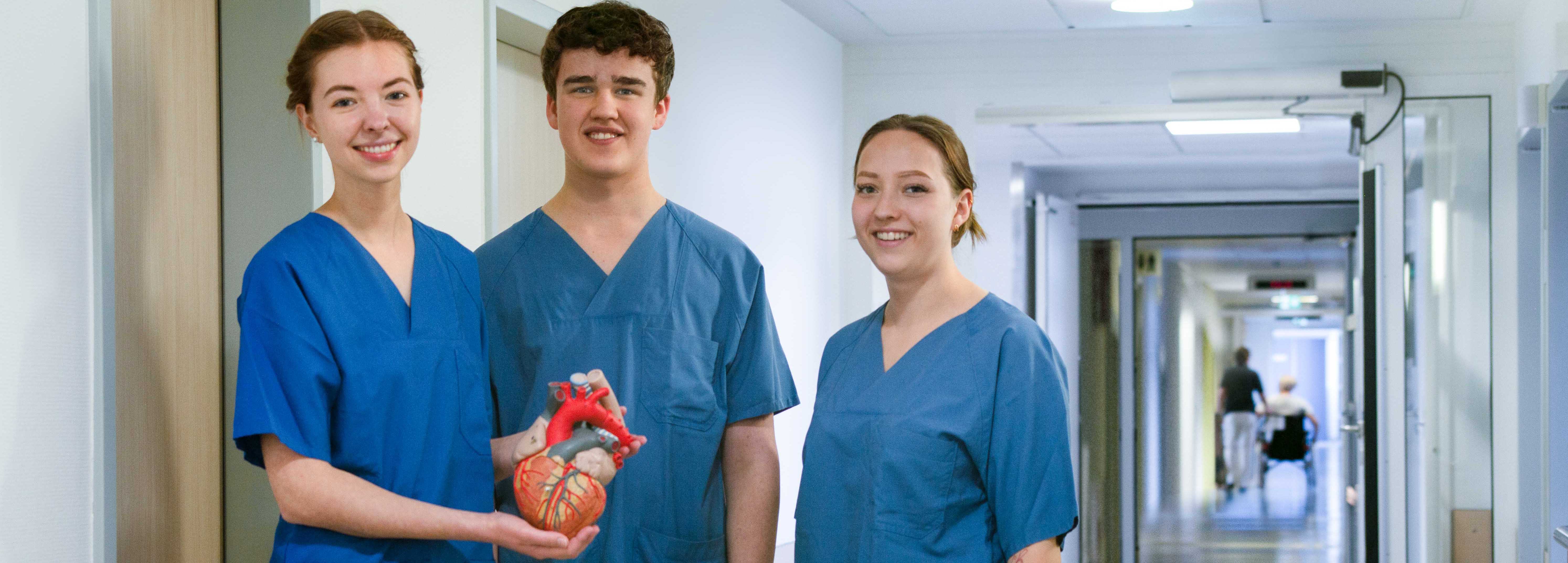 Drei Schüler stehen auf dem Stationsflur im Krankenhaus. Die Schülerin links hält ein Organmodell in der Hand. 