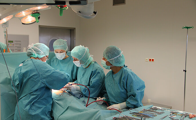 Gefäßchirurgische Operation. 