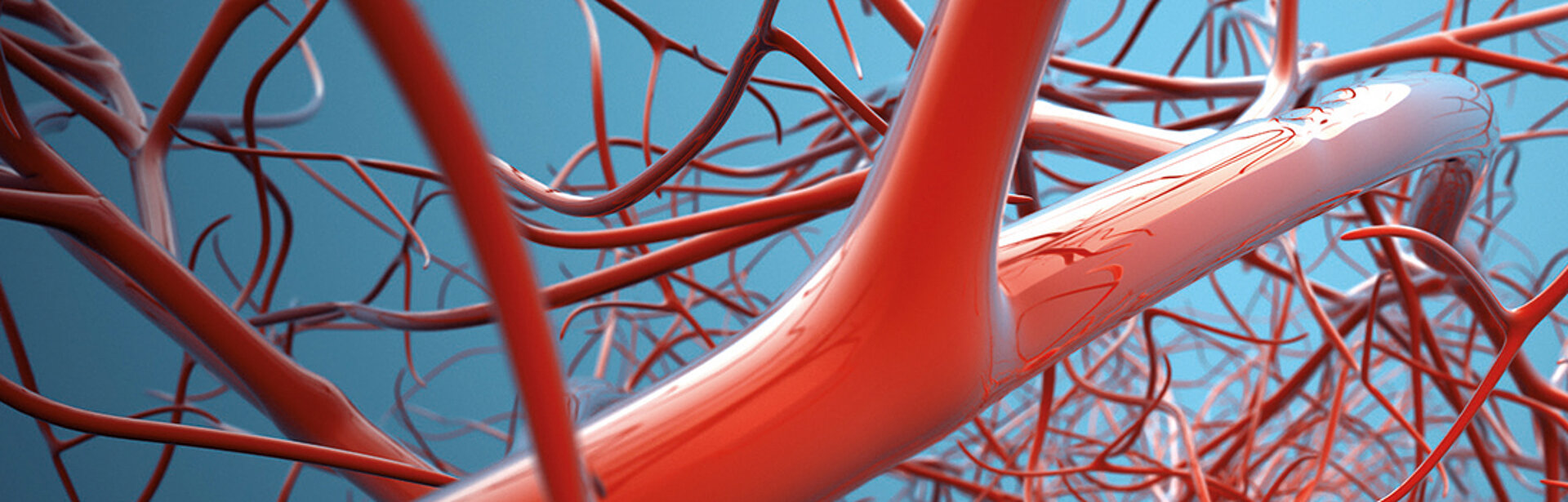 Symbolbild von Arterien. 